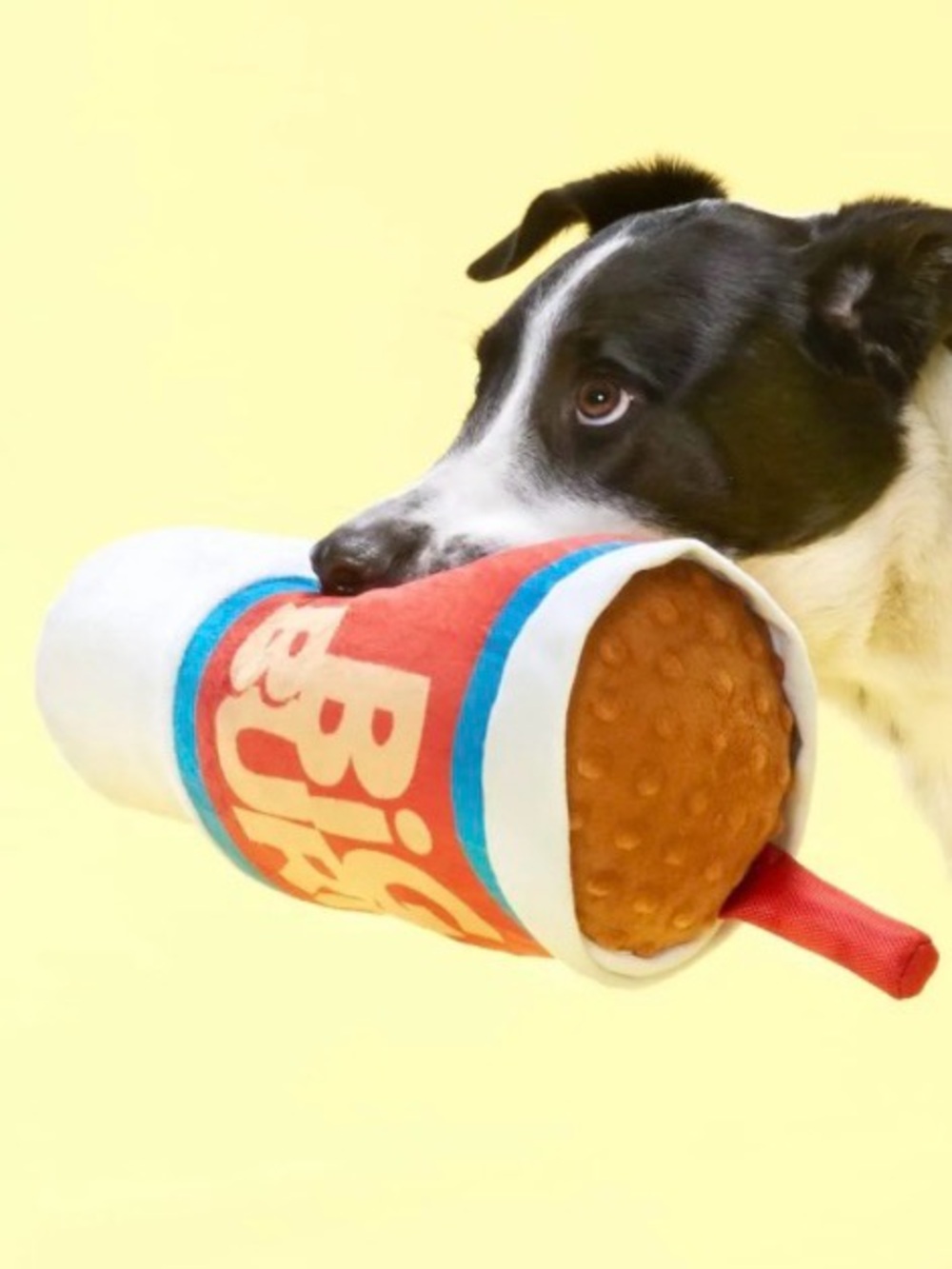 Bark Box Big Burp XL dog toy big gulp for dogs NEW giant dog drink cup